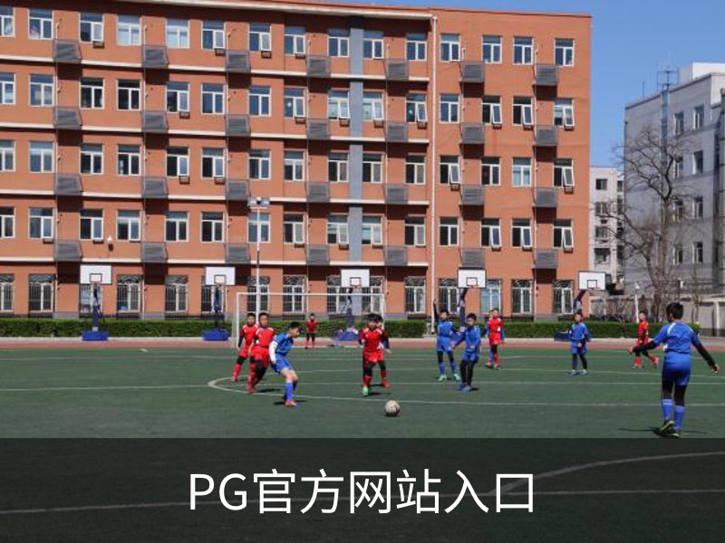 了解PG官方网站入口